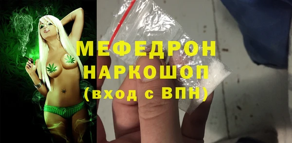 стаф Каменногорск