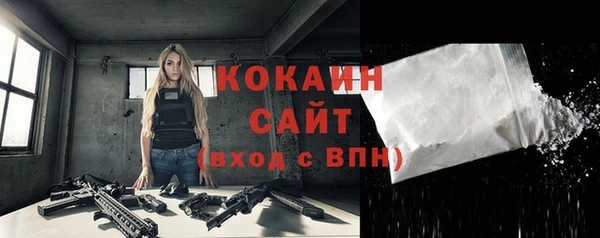 2c-b Каменка