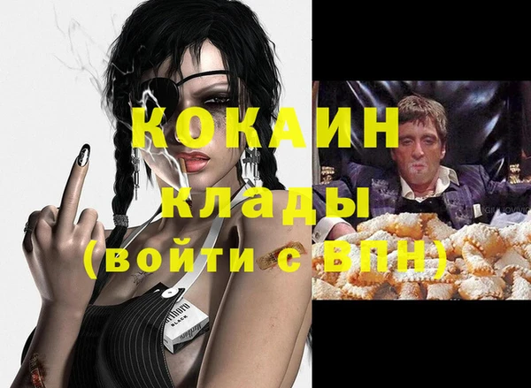 стаф Каменногорск
