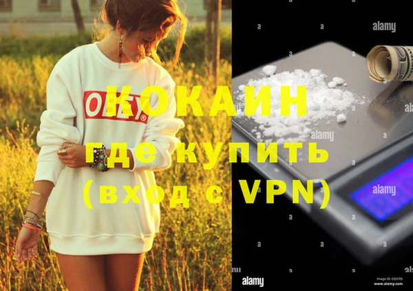 амф Инта