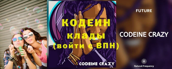 стаф Каменногорск
