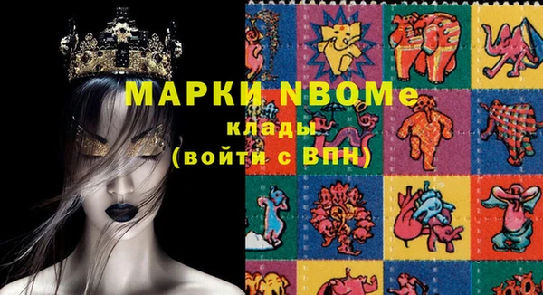 амф Инта