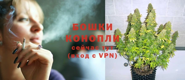 стаф Каменногорск